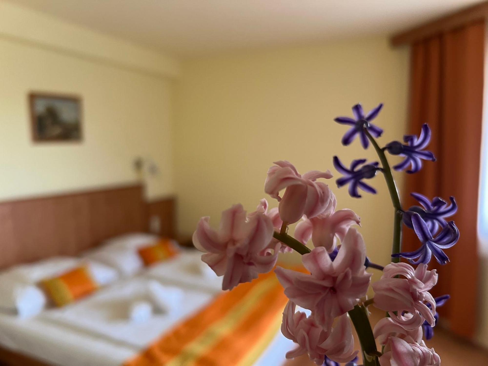 Aqua Therm Hotel Zalakaros Ngoại thất bức ảnh