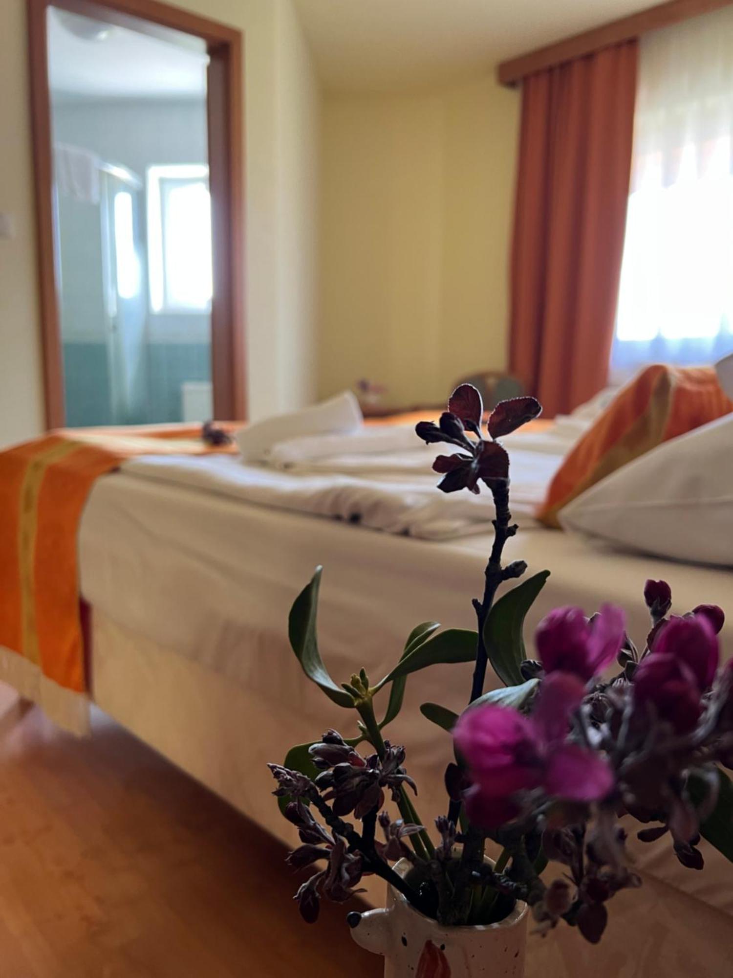Aqua Therm Hotel Zalakaros Ngoại thất bức ảnh